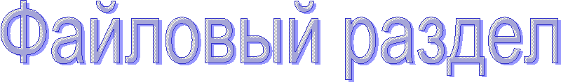 Файловый раздел